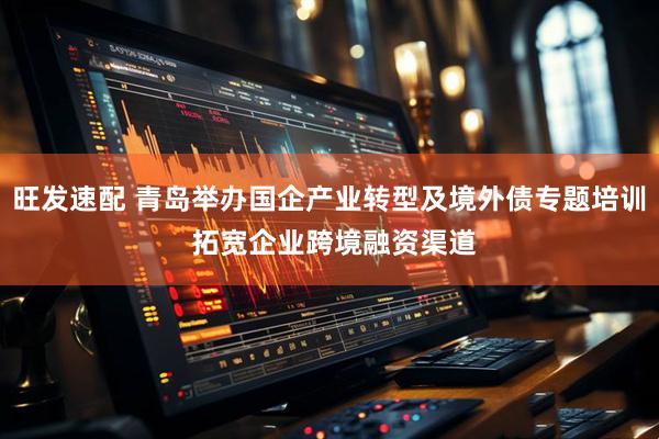 旺发速配 青岛举办国企产业转型及境外债专题培训 拓宽企业跨境融资渠道