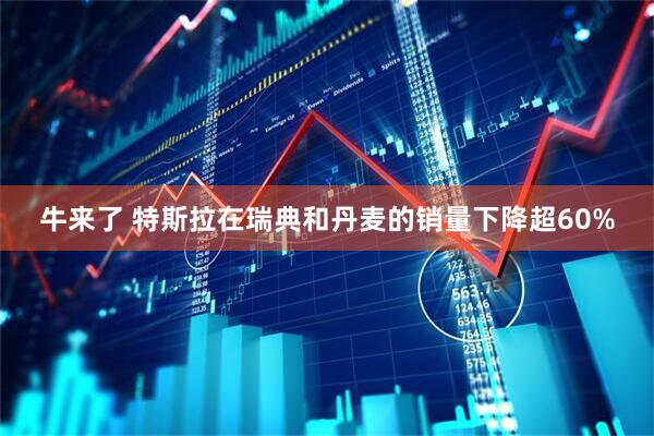牛来了 特斯拉在瑞典和丹麦的销量下降超60%