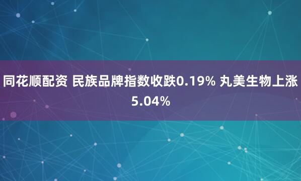 同花顺配资 民族品牌指数收跌0.19% 丸美生物上涨5.04%