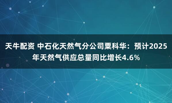 天牛配资 中石化天然气分公司粟科华：预计2025年天然气供应总量同比增长4.6%