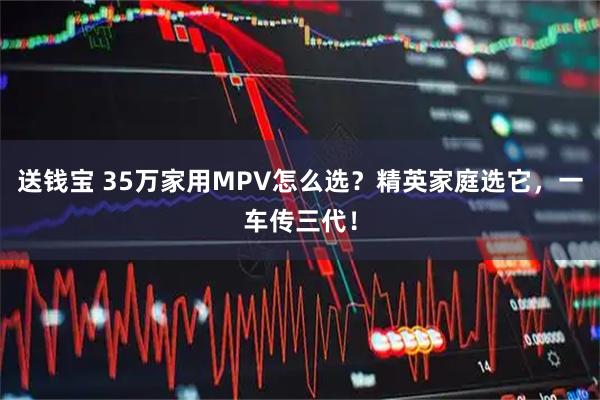 送钱宝 35万家用MPV怎么选？精英家庭选它，一车传三代！