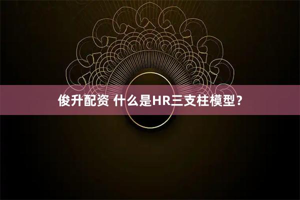 俊升配资 什么是HR三支柱模型？
